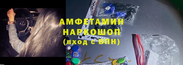 индика Нефтекумск