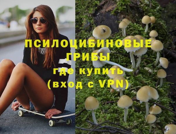 гашиш Новозыбков