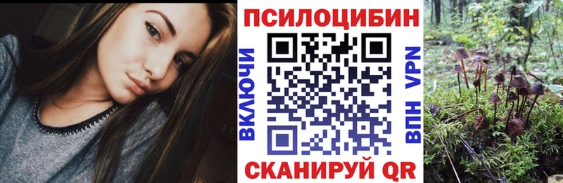 Псилоцибиновые грибы Psilocybe  мориарти клад  Кизел  hydra ССЫЛКА 